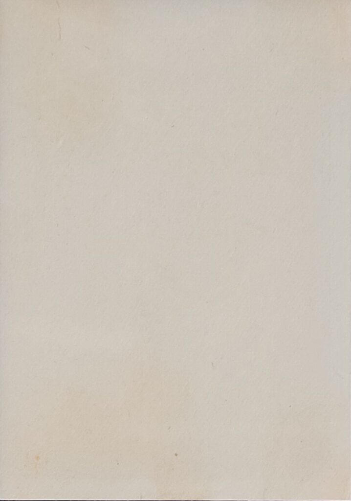 1929-1930 Rogers Peet 
Peter DePaolo - Back