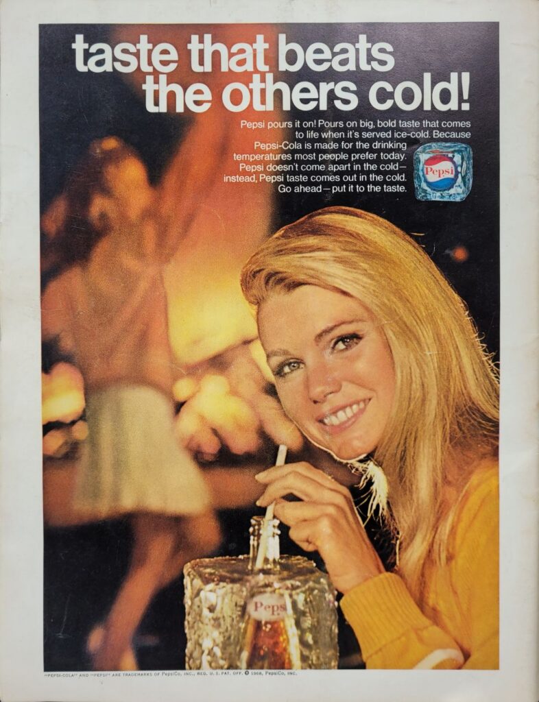 1968 NASCAR Fonda 200 Program Back Cover
